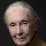 Jane Goodall Getty 1