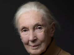 Revelado o motivo da fatalidade de Jane Goodall Jane Goodall Getty 1