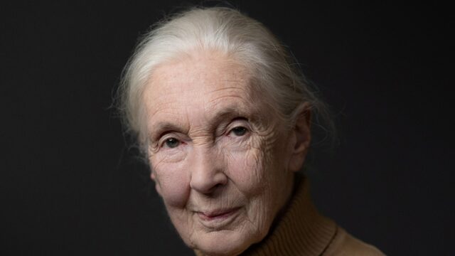 Jane Goodall Getty 1