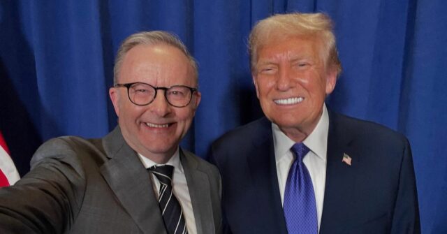 Anthony Albanese e Donald Trump