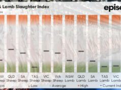 Squeeze do processador de ovelhas: que estados estão vencendo a batalha de suprimentos e por quê Squeeze do processador de ovelhas: que estados estão vencendo a batalha de suprimentos e por quê