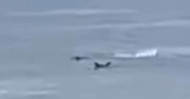 Surfista duas vezes mordido por tubarão perseguindo selo na ilha canguru

