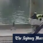 Suspeitos de assalto ao Louvre admitem “parcialmente” envolvimento