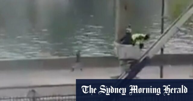 Suspeitos de assalto ao Louvre admitem “parcialmente” envolvimento Suspeitos de assalto ao Louvre admitem “parcialmente” envolvimento