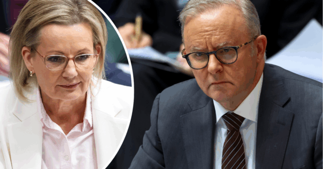 Sussan Ley quer desculpas de Anthony Albanese por usar camiseta A líder da oposição, Sussan Ley, durante o período de perguntas no Parlamento em Canberra, na terça-feira, 28 de outubro de 2025.