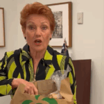 Pauline Hanson One Nation, senadora Queensland Woolworths, sacola de compras