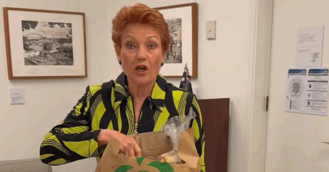 Pauline Hanson One Nation, senadora Queensland Woolworths, sacola de compras
