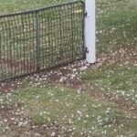 Tempestades e granizo continuarão devastando o sudeste de Queensland