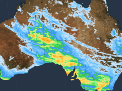 Tempestades e ondas de calor atingirão a Austrália neste fim de semana Equipes da SES trabalhando em uma árvore caída.