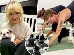 ‘Terapia para filhotes’ é a tendência de treino com benefícios extras de bem-estar – até Sabrina Carpenter é fã 'Terapia para filhotes' é a tendência de treino com benefícios extras de bem-estar - até Sabrina Carpenter é fã