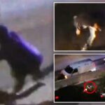 Terror como Cali. ladrão de carros é visto sendo atropelado e morto ao vivo na TV