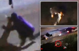 Terror como Cali. ladrão de carros é visto sendo atropelado e morto ao vivo na TV Terror como Cali. ladrão de carros é visto sendo atropelado e morto ao vivo na TV