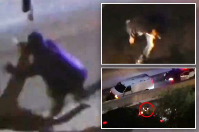 Terror como Cali. ladrão de carros é visto sendo atropelado e morto ao vivo na TV

