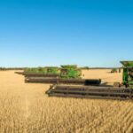 Trabalhistas ‘consideram’ novo imposto fronteiriço sobre carbono que poderia aumentar os custos de insumos agrícolas