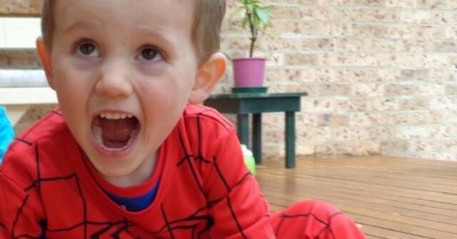 Traje do Homem-Aranha encontrado em propriedade perto de onde William Tyrrell desapareceu é descartado

