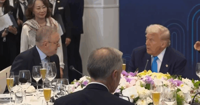 Trump elogia Albanese antes de reunião crucial com o líder da China

