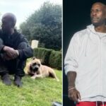 Tyrese Gibson, estrela rápida e furiosa, enfrentando a prisão depois que os cães mastifícios de animais de estimação supostamente assumiam a morte do vizinho