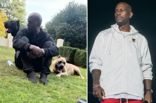 Tyrese Gibson, estrela rápida e furiosa, enfrentando a prisão depois que os cães mastifícios de animais de estimação supostamente assumiam a morte do vizinho


