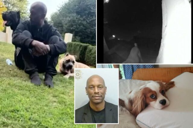 Tyrese Gibson, estrela rápida e furiosa, preso depois que seus cães mataram o cão do vizinho fora da Geórgia em casa

