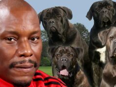 Tyrese: Políticas não sabem onde estão seus animais incríveis Tyrese Gibsondogs Getty Comp