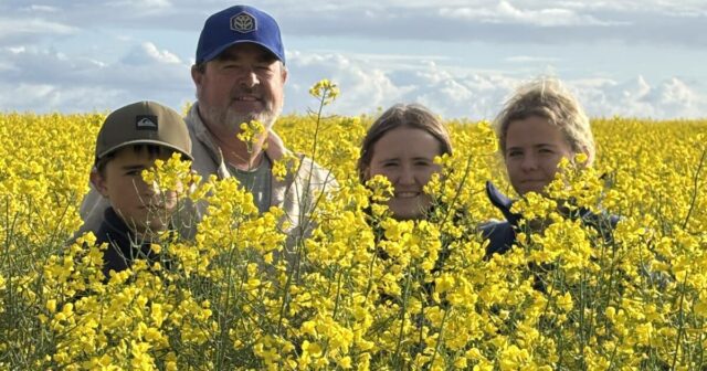 Uma longa espera pela colheita para muitos agricultores da zona agrícola norte

