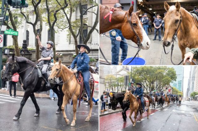 Veteranos caminham por Manhattan a cavalo para promover a conscientização sobre o suicídio no 8º passeio anual Trail to Zero

