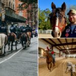 Veteranos cavalgarão 32 quilômetros por Nova York para conscientização sobre suicídio: a terapia com cavalos 'salvou minha vida'