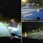 Vídeo tenso mostra criança pequena atropelada em rodovia, quase sendo atropelada antes de ser salva por policial