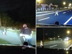 Vídeo tenso mostra criança pequena atropelada em rodovia, quase sendo atropelada antes de ser salva por policial Vídeo tenso mostra criança pequena atropelada em rodovia, quase sendo atropelada antes de ser salva por policial
