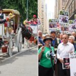 Visitantes do Central Park apoiam passeios de carruagem e se opõem à proibição de Nova York: pesquisa