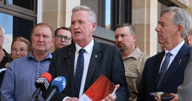 ‘Especulação e preocupações infundadas’: comitê considera que leis sobre armas são justificadas

