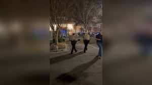 1 adulto e 2 jovens suspeitos identificados no tiroteio em uma árvore em Concord que deixou 4 feridos Yahoo news home