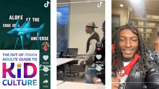 O guia para adultos fora de contato sobre a cultura O guia para adultos fora de contato sobre a cultura infantil: a tendência de 'virar a câmera'