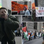 4 presos enquanto manifestantes anti-Israel turbulentos perturbam os compradores da Black Friday na elegante Quinta Avenida de Nova York