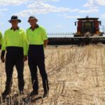 A aposta do produtor de grãos Meckering mostra primeiros sinais de retorno na colheita