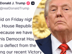 A capitulação dos arquivos Epstein de Trump trai uma fraqueza rara A capitulação dos arquivos Epstein de Trump trai uma fraqueza rara