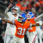 logotipo de fantasia azarão