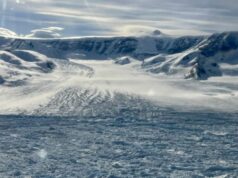 A descoberta arrepiante que deveria alertar o mundo A descoberta arrepiante que deveria alertar o mundo