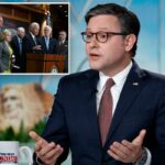 A disposição do Arctic Frost no projeto de lei de gastos para permitir que senadores espionados processem por US$ 500 mil será “provavelmente” revogada: Mike Johnson