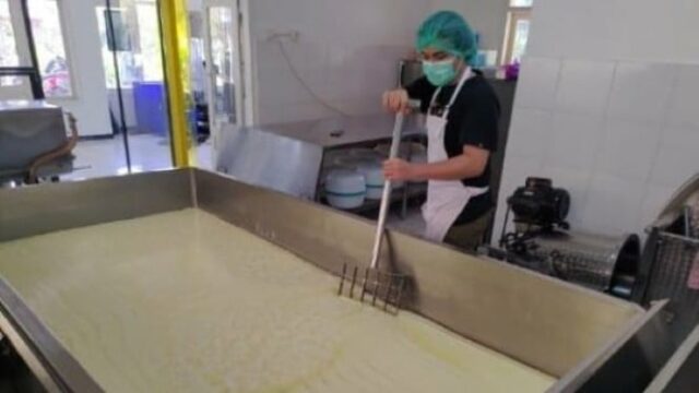 A economia no terceiro trimestre de 2025 cresceu 5,04 por A economia no terceiro trimestre de 2025 cresceu 5,04 por cento, aqui estão as indústrias de apoio