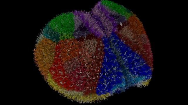 A simulação de supercomputadores está mudando a forma como estudamos Uma das simulações cerebrais virtuais mais detalhadas do mundo está mudando a forma como estudamos o cérebro