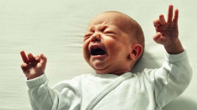 A taxa de fertilidade na Indonésia continua a diminuir, médico A taxa de fertilidade na Indonésia continua a diminuir, médico ginecologista: ninguém quer ter filhos agora!