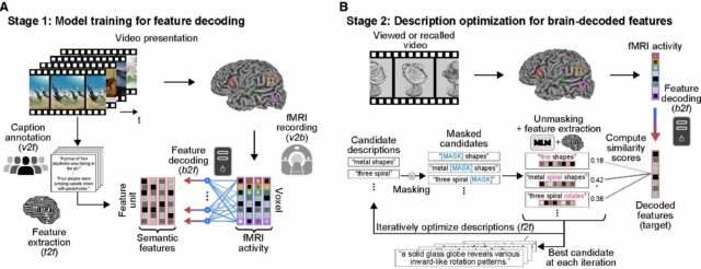 Pesquisadores usam técnica de ‘legenda mental’ para ler pensamentos humanos em tomografias cerebrais