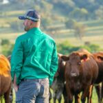 A tendência entre os pecuaristas que está alimentando o boom dos preços das casas na cidade