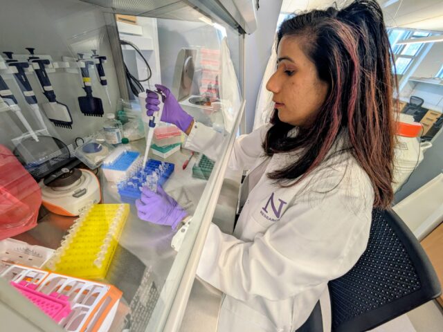 Nova terapia com anticorpos desperta o sistema imunológico para combater o câncer de pâncreas