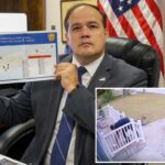 A tripulação pirata da varanda rouba centenas de telefones e eletrônicos em 30 cidades da LI - após 'hackear' entregas