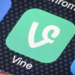 A videira está de volta