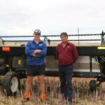 Agricultores de WA relatam forte desempenho da esteira MacDon em culturas de canola