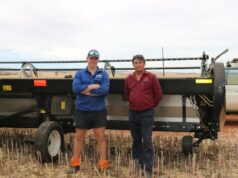 Agricultores de WA relatam forte desempenho da esteira MacDon em culturas de canola Agricultores de WA relatam forte desempenho da esteira MacDon em culturas de canola