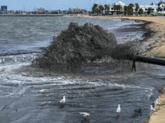 Água na famosa praia de Melbourne virou lama preta A Praia de St Kilda apresenta água preta, sujeira, lixo e cheiros devido à dragagem na entrada da Marina de St Kilda. 12 de novembro de 2025, The Age news Foto de JOE ARMAO